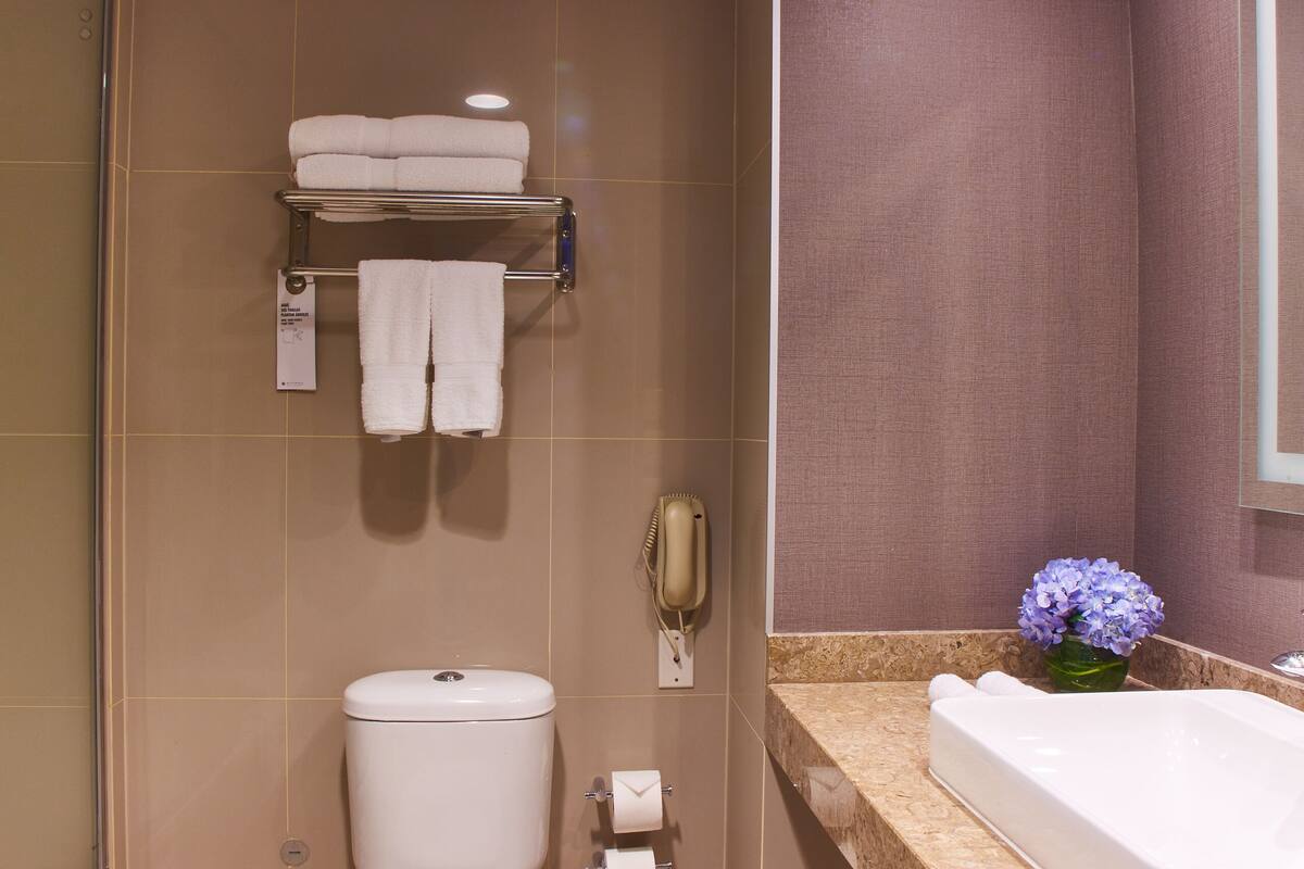 combined shower/bathtub, eco-friendly toiletries, hair dryer, towels