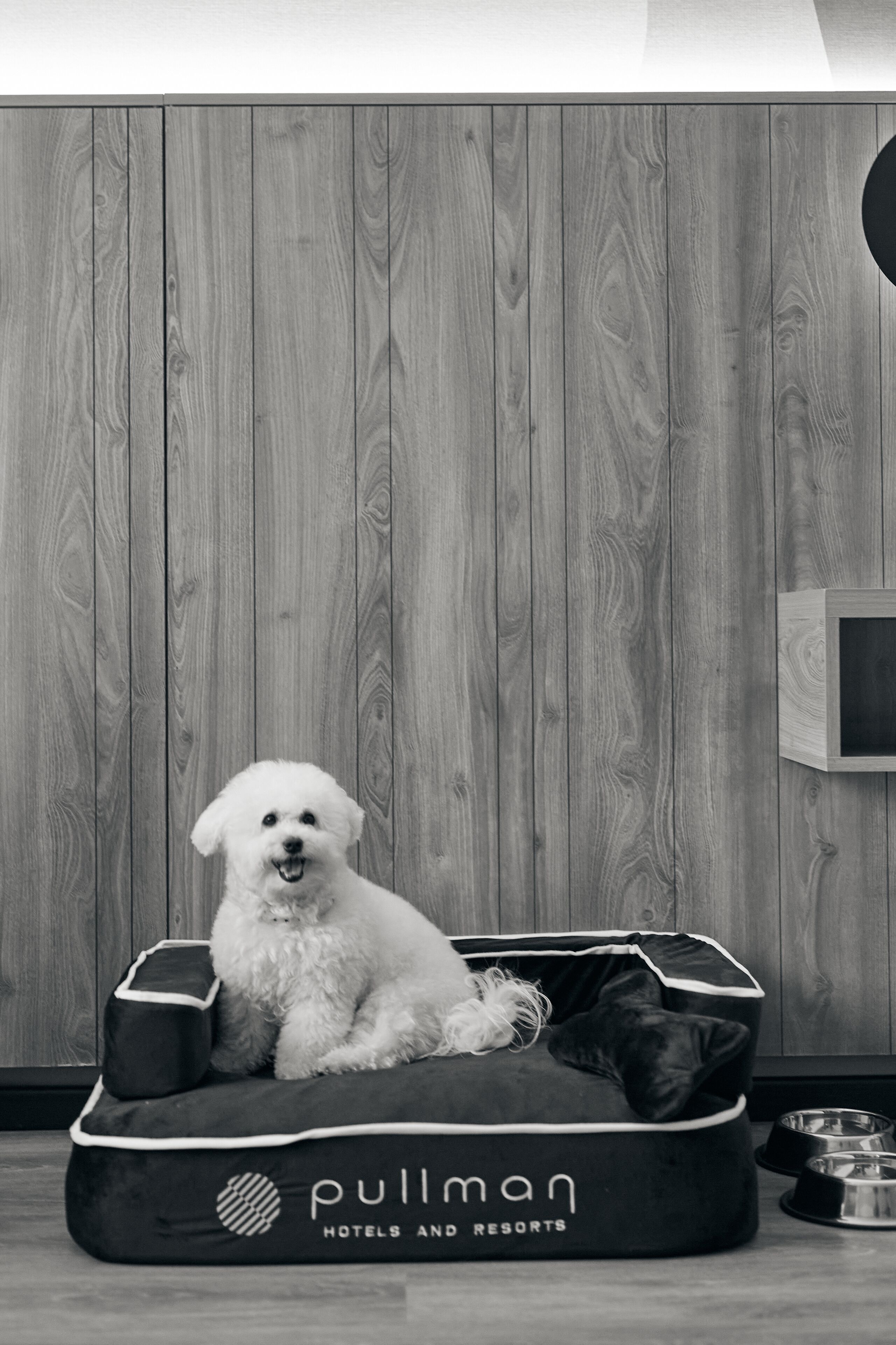 minibar, in-room safe, desk, soundproofing