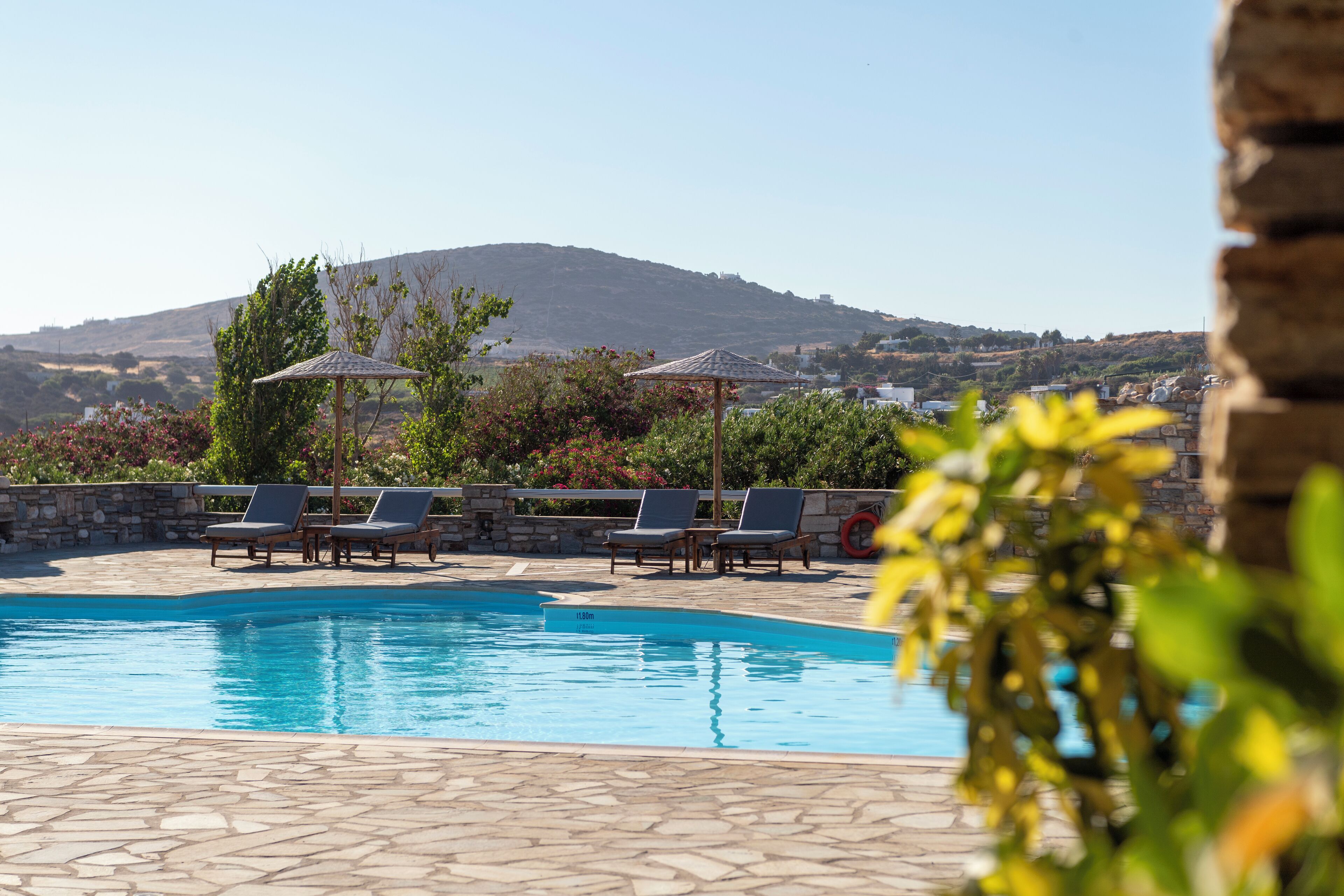 A swimming pool with lounge chairs and umbrellas, surrounded by greenery and a view of a hill.
