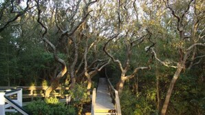 Property grounds - The Pelican Inn (Pawleys Island)