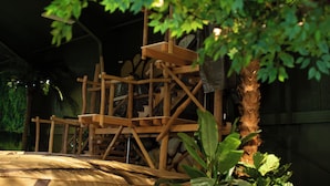 Une structure d’escalade en bois, avec des cordes, et un palmier au premier plan.
