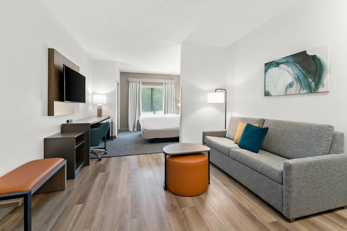 Single Room, 1 King Bed with Sofa bed, Non Smoking (Efficiency) | In-room safe, desk, laptop workspace, iron/ironing board