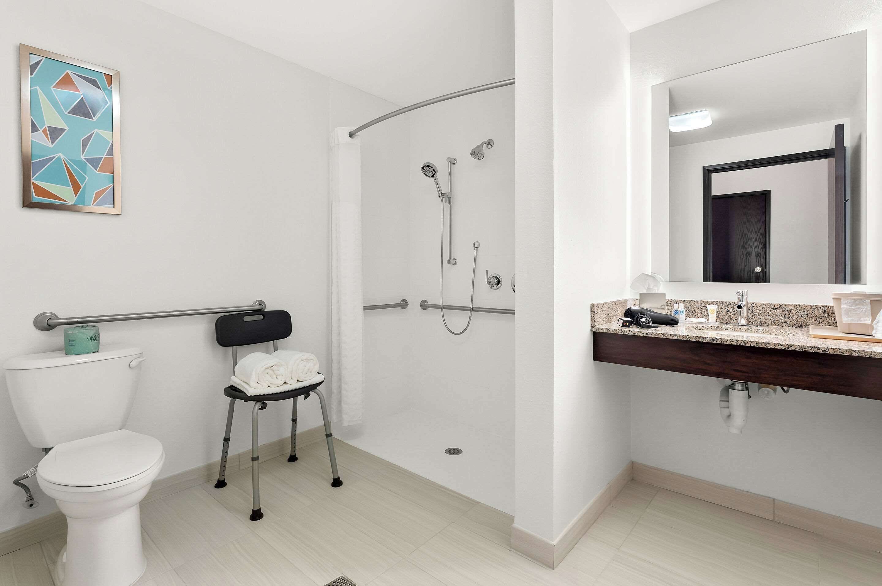 suite, 1 king bed, accessible, non smoking (roll in shower) | bathroom | hair dryer, towels
