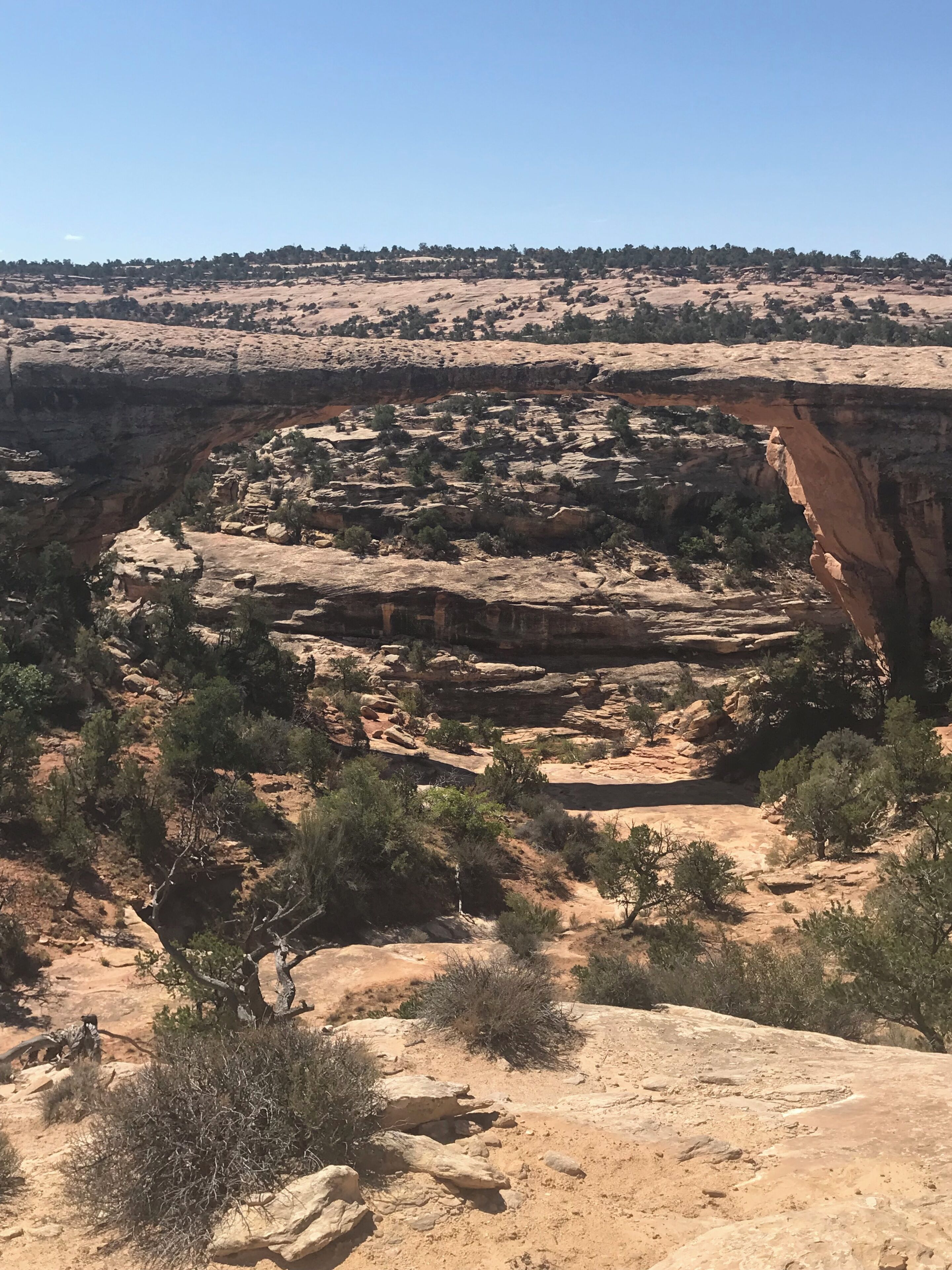 A desert landscape with rocky terrain and sparse vegetation.