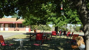 An outdoor seating area with tables and chairs under a tree, a building in the background, and a trash can.