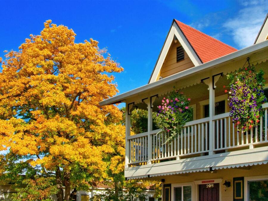 A two-story building with a balcony, a red roof, and a tree with yellow leaves.