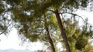 Spa - Hilton Lopud Beach Resort & Spa (Dubrovnik)