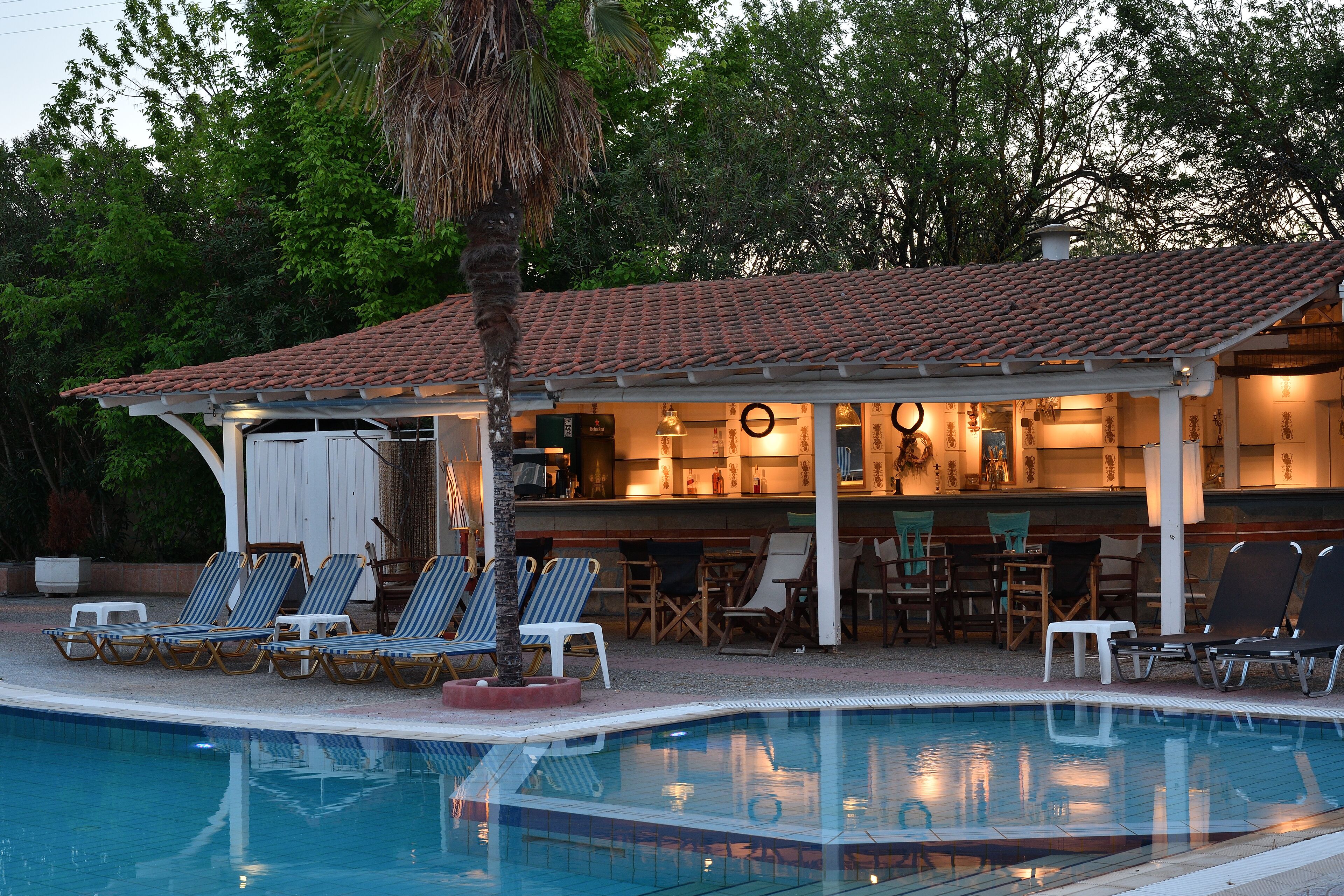 Un área junto a la piscina con sillones de descanso, un porche cubierto y una zona de bar.