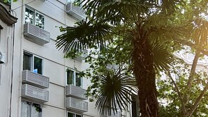 A hotel with a modern facade, multiple balconies, and a prominent palm tree in front. - Alvear Hotel (Montevideo)