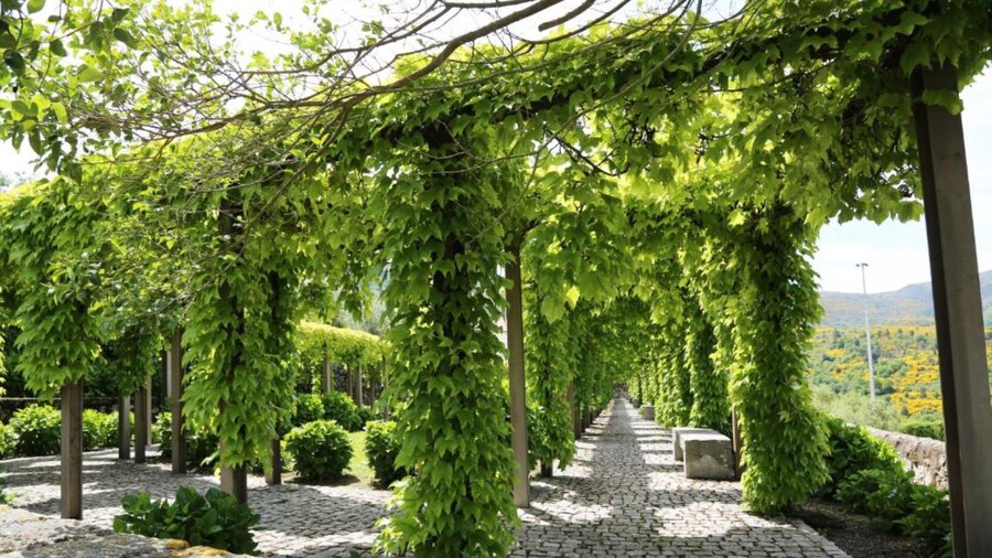 INATEL Linhares da Beira Hotel Rural