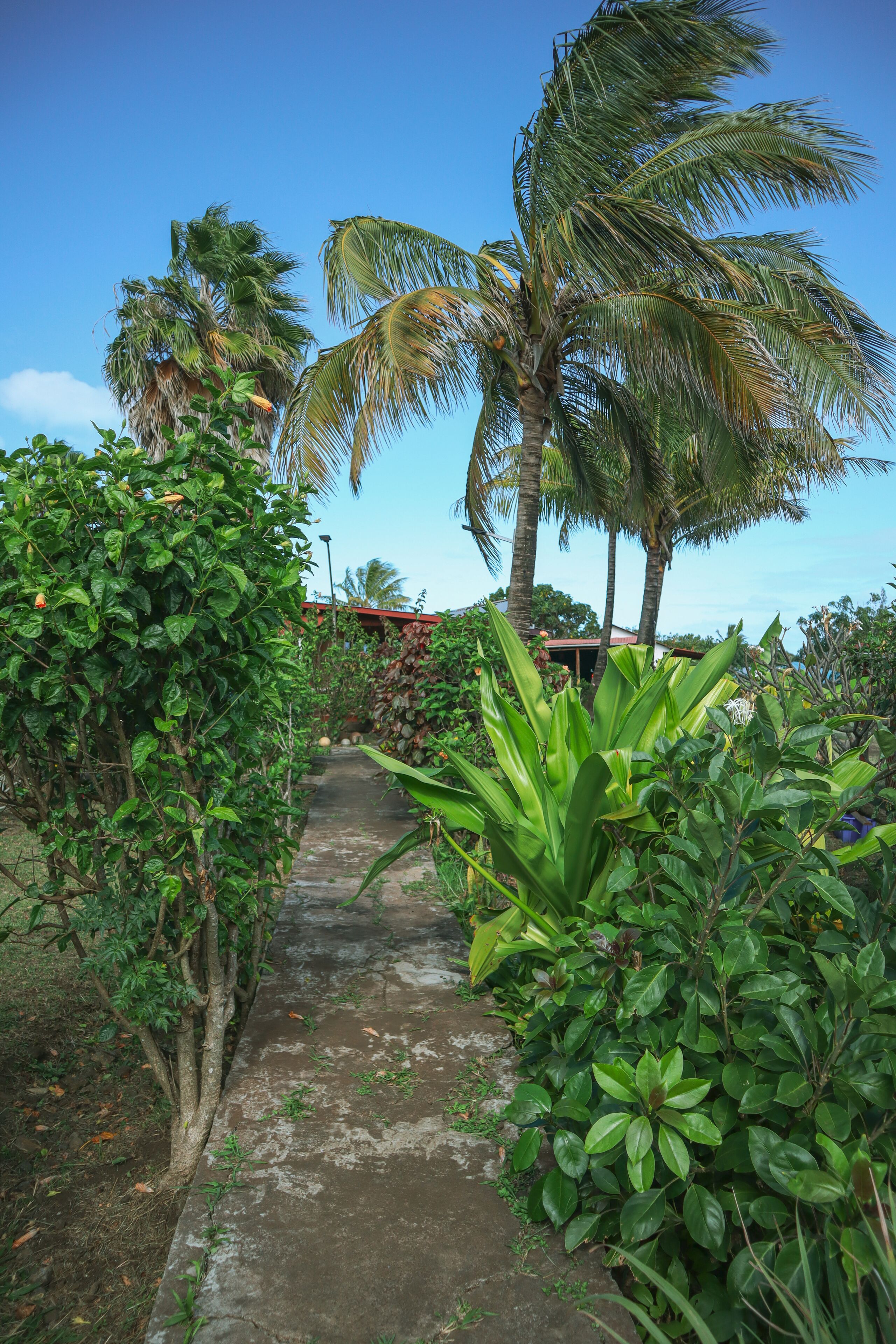 Foto - Cabañas MANA NUI INN