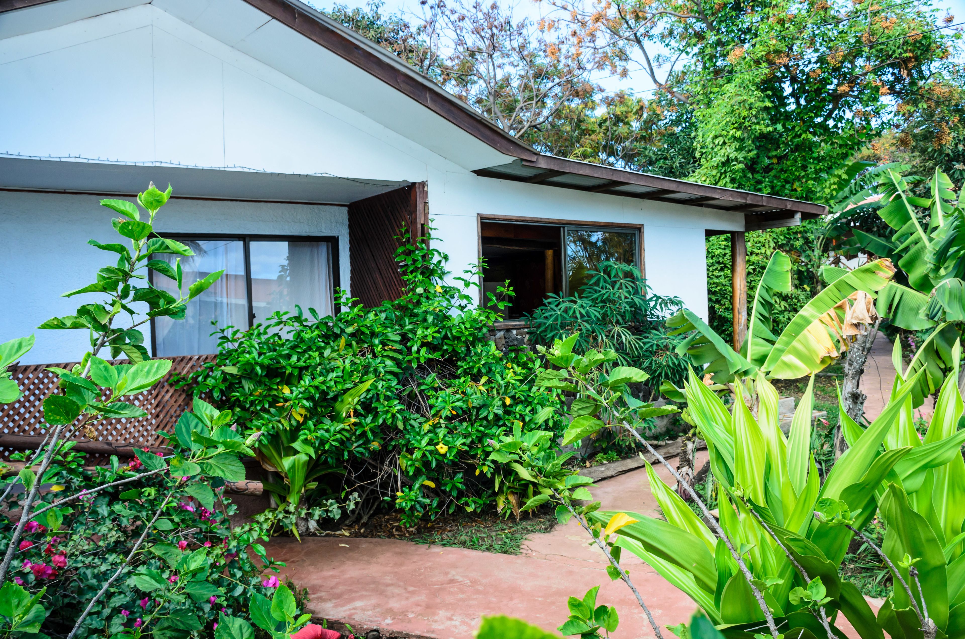 Foto - Cabañas MANA NUI INN