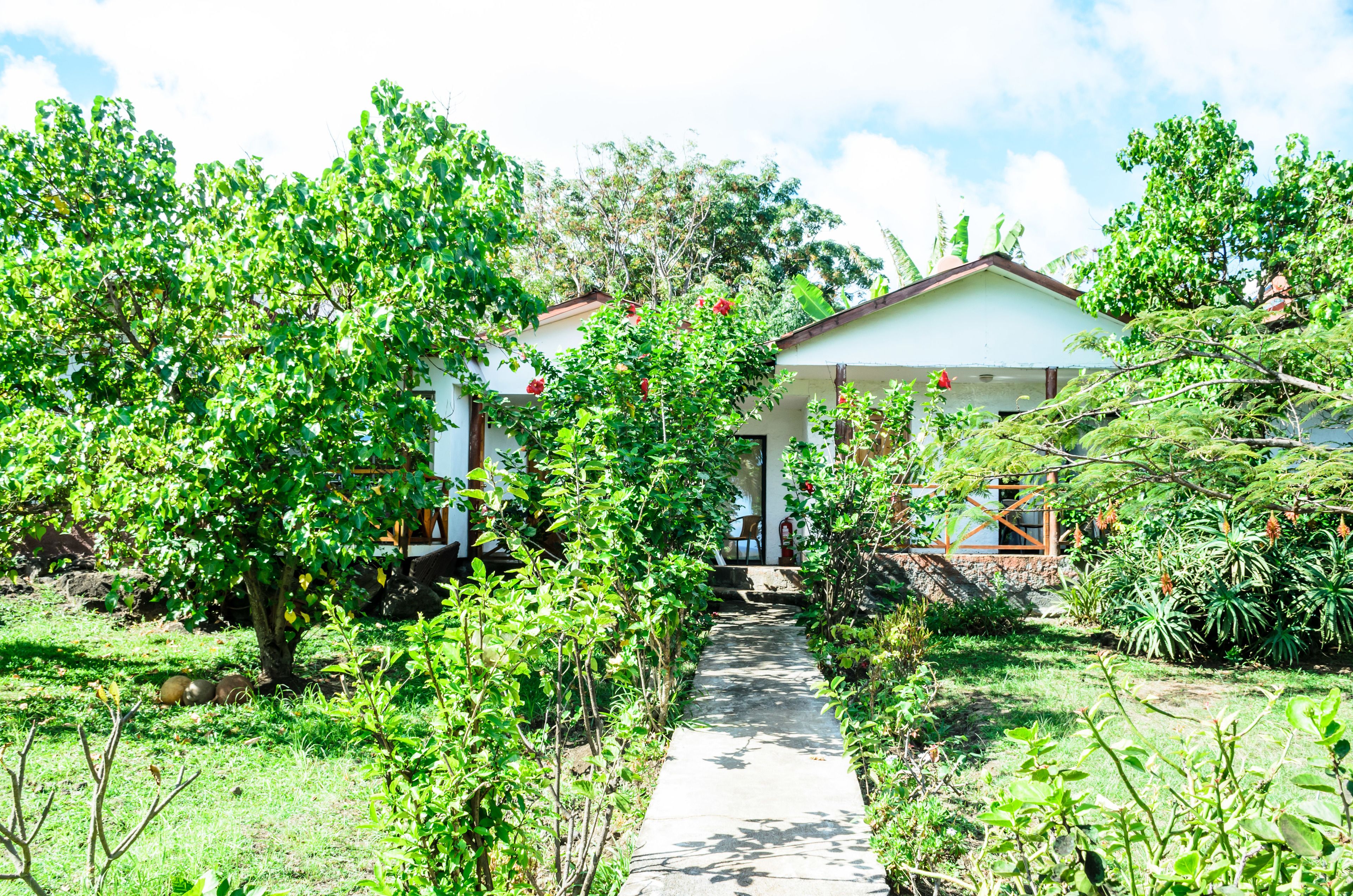 Foto - Cabañas MANA NUI INN