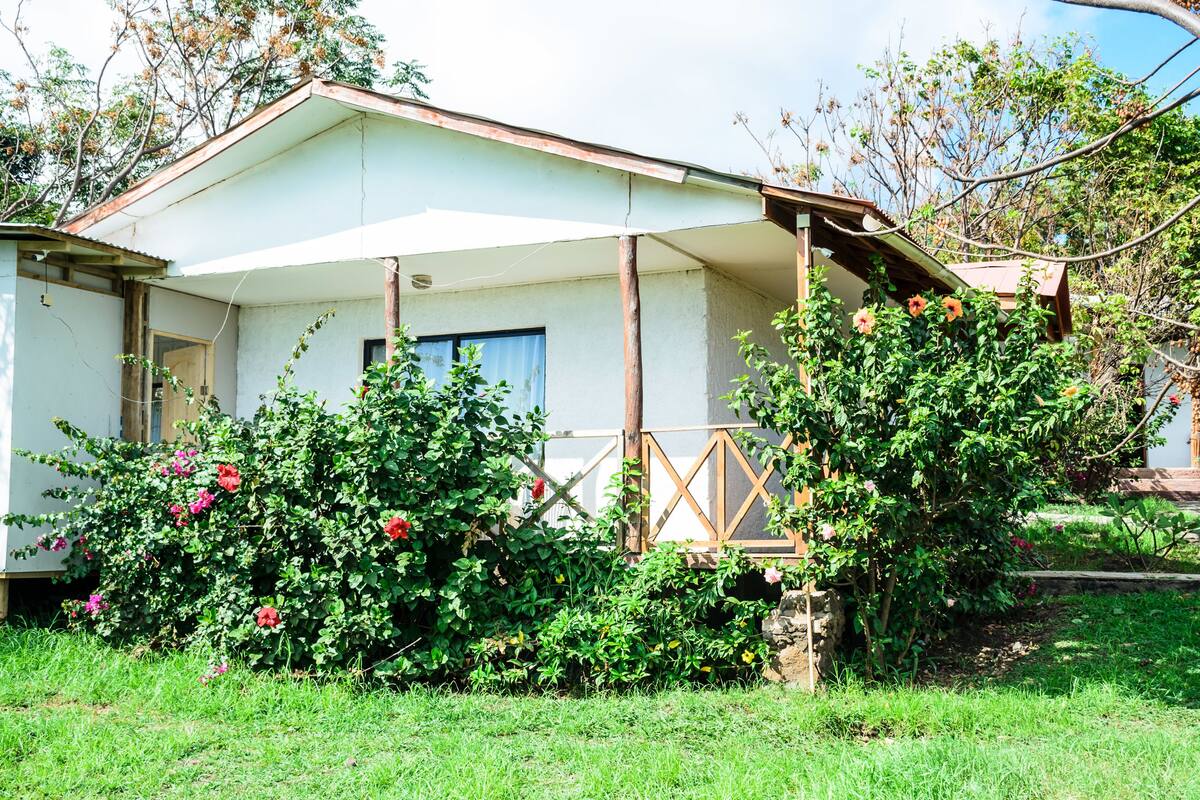 Een gelijkvloers huis met een veranda, omgeven door weelderige begroeiing en bloeiende planten.