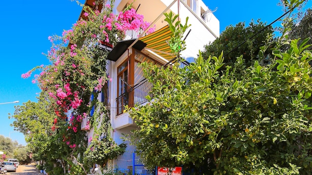 A two-story building with a balcony, a sign indicating a guest house reception, and a parked scooter.