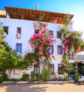 Vue depuis l’hébergement 