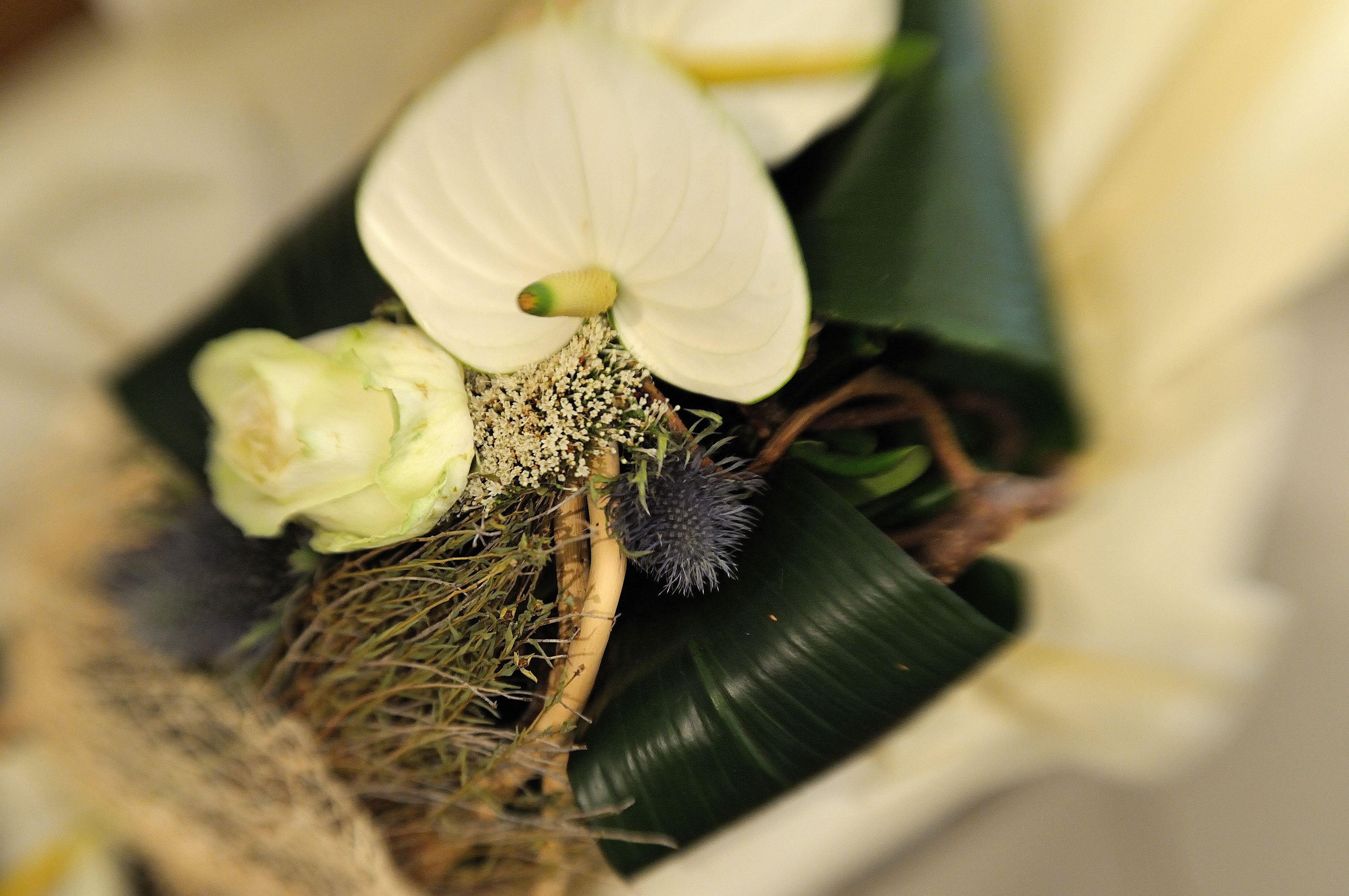 Foto - Luxury B&B La Dimora Degli Angeli