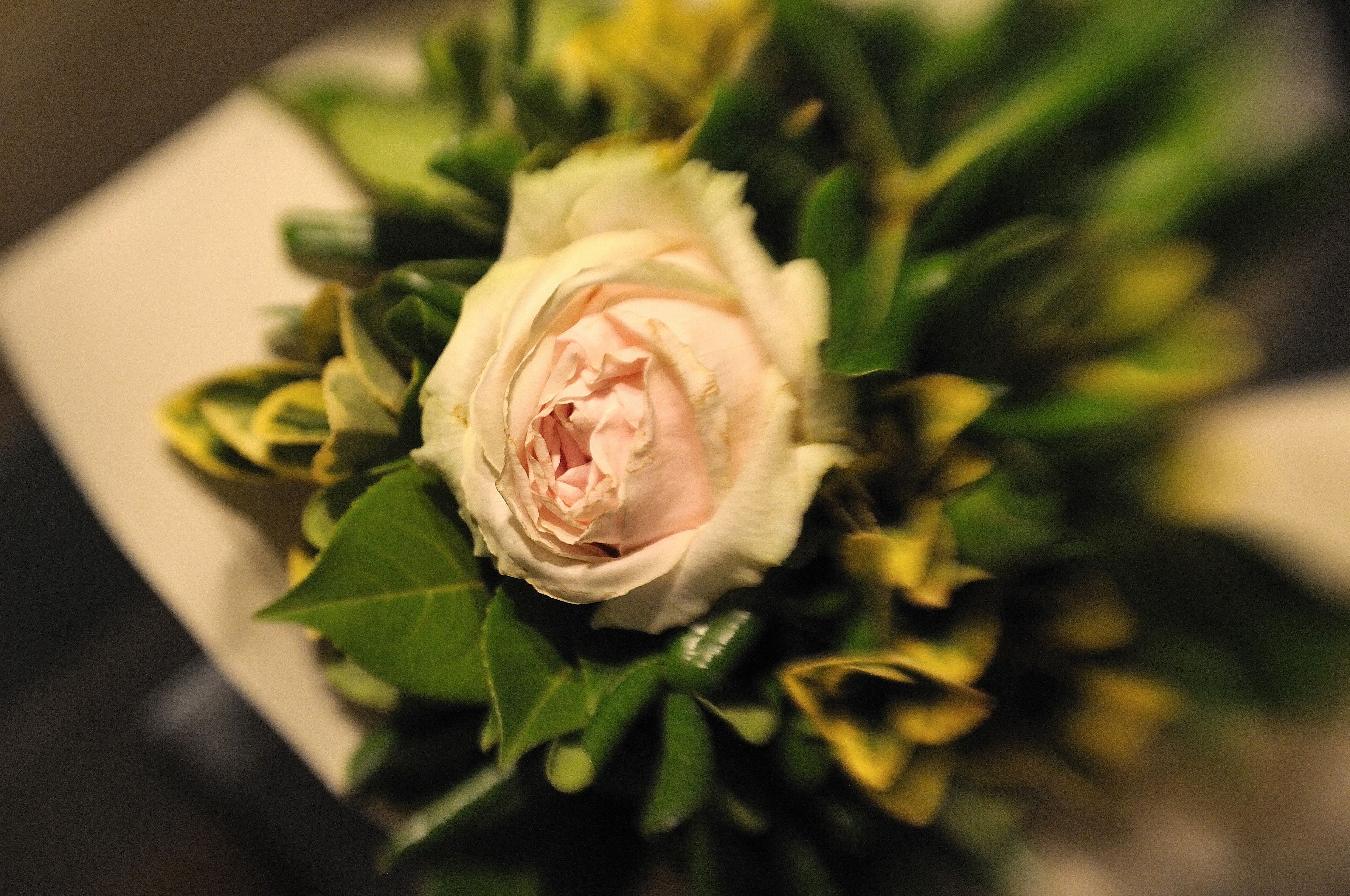 Foto - Luxury B&B La Dimora Degli Angeli