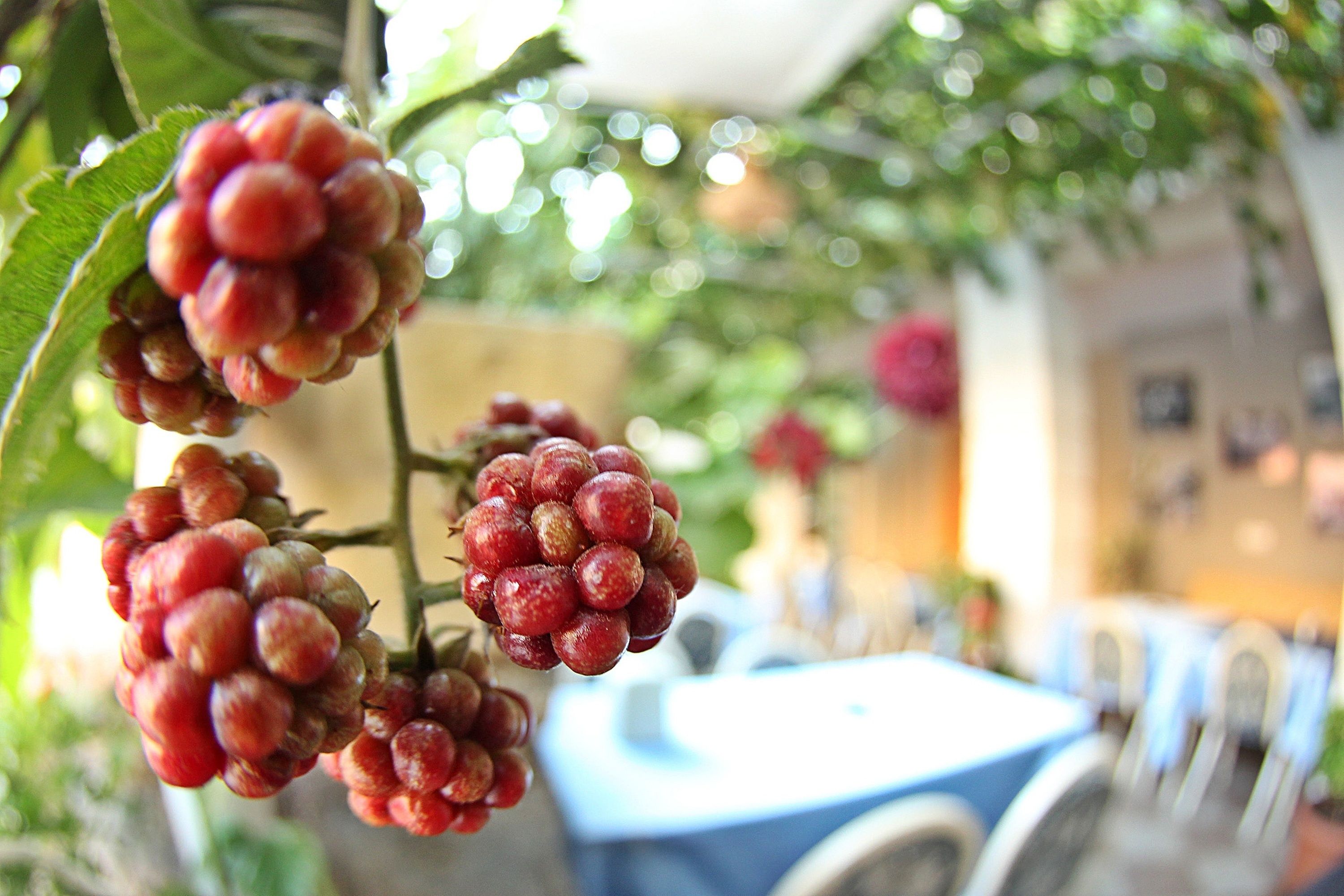 daily buffet breakfast (try 400 per person)
