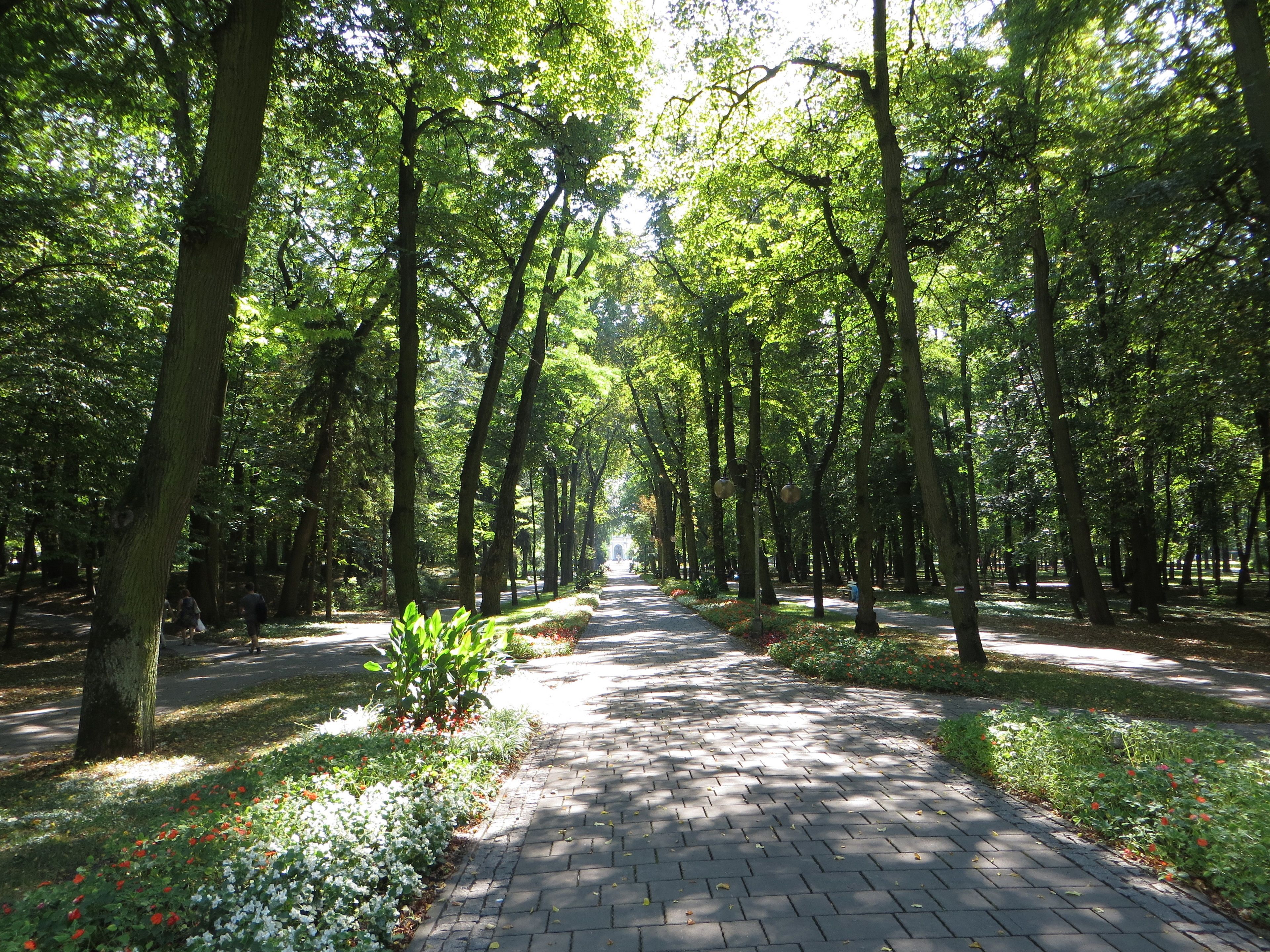 Een geplaveid pad omzoomd door bomen en kleine bloembedden.