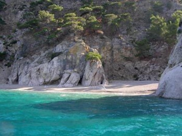 Plage à proximité, chaises longues, parasols