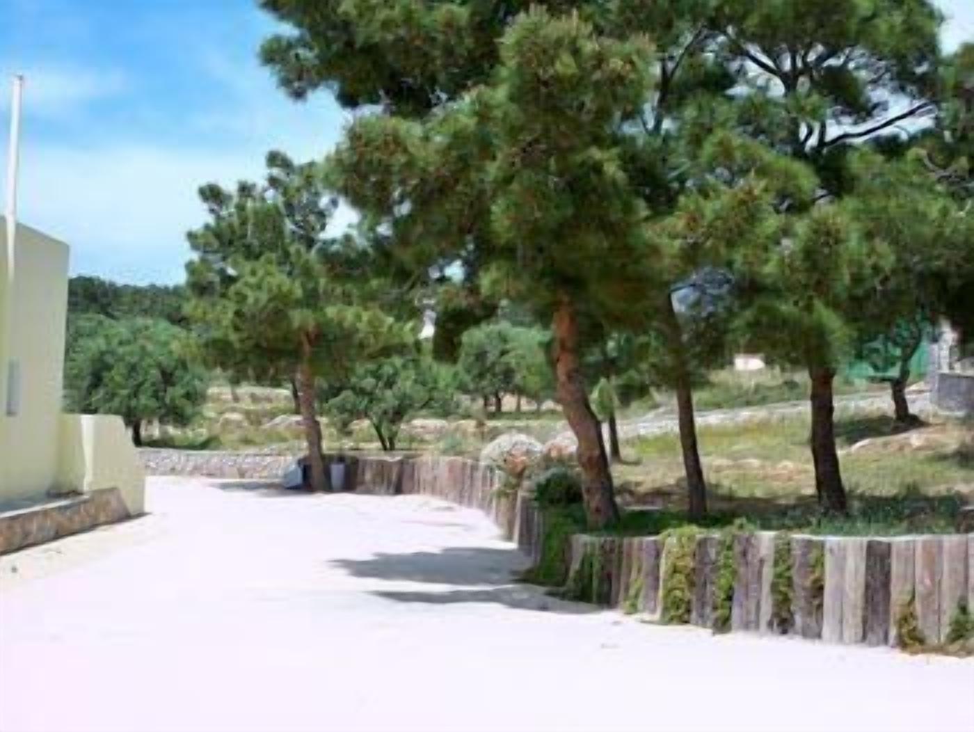 A pathway leading to a building surrounded by trees.
