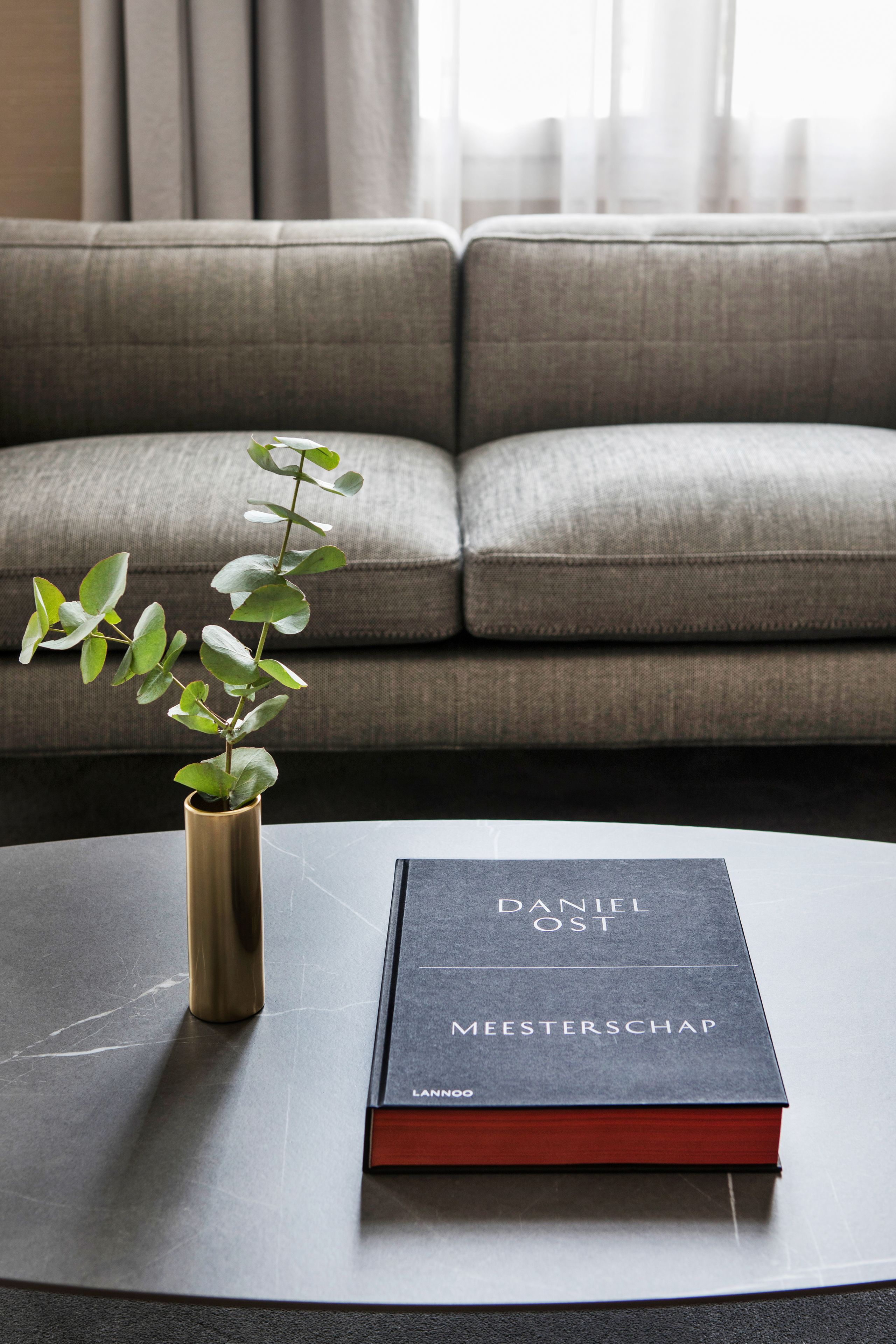 A book titled "Daniel Ost" on a coffee table with a plant beside it.