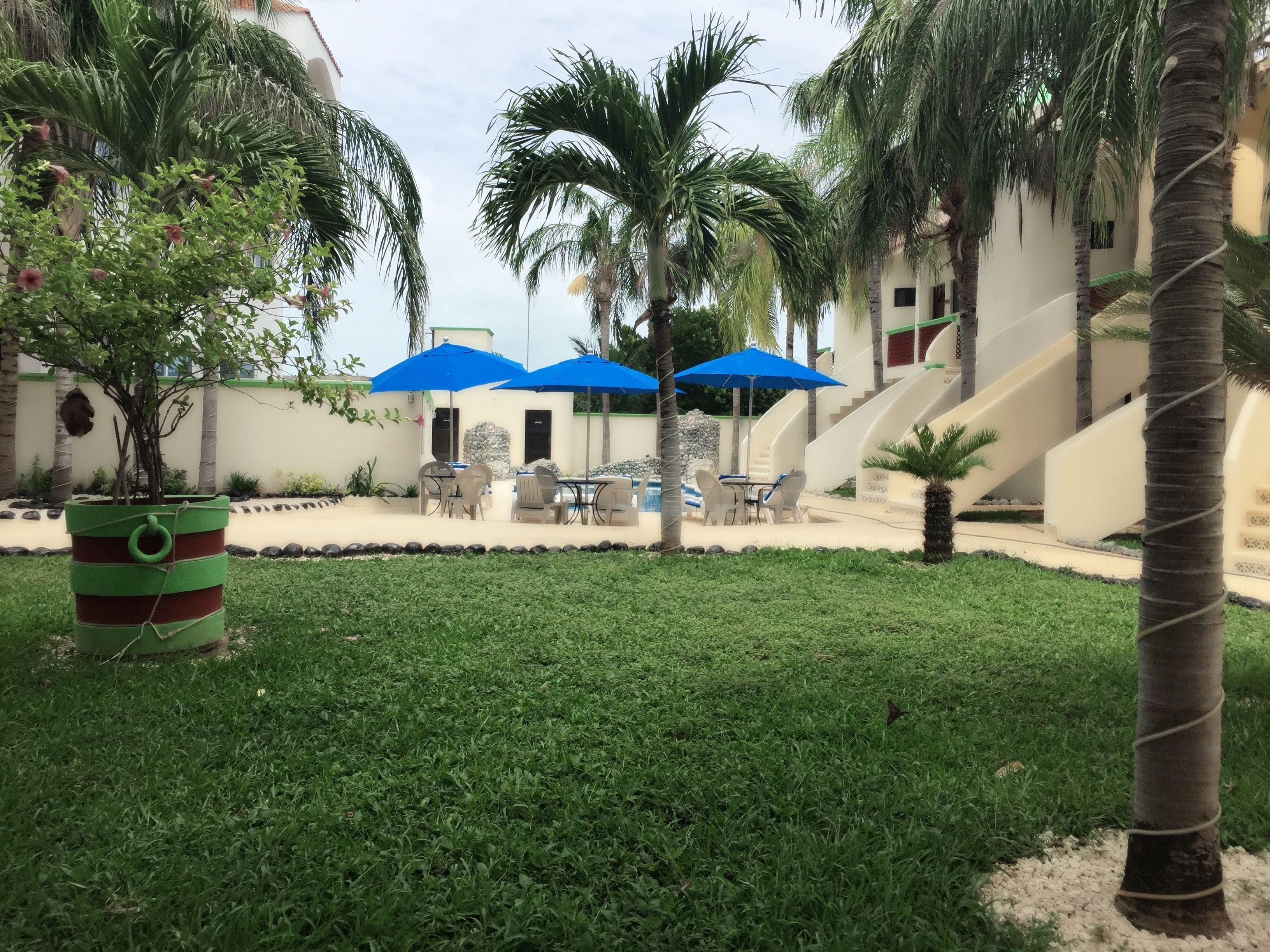 Vista desde la propiedad