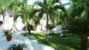 Un patio con palmeras, un edificio blanco y una carpa.
