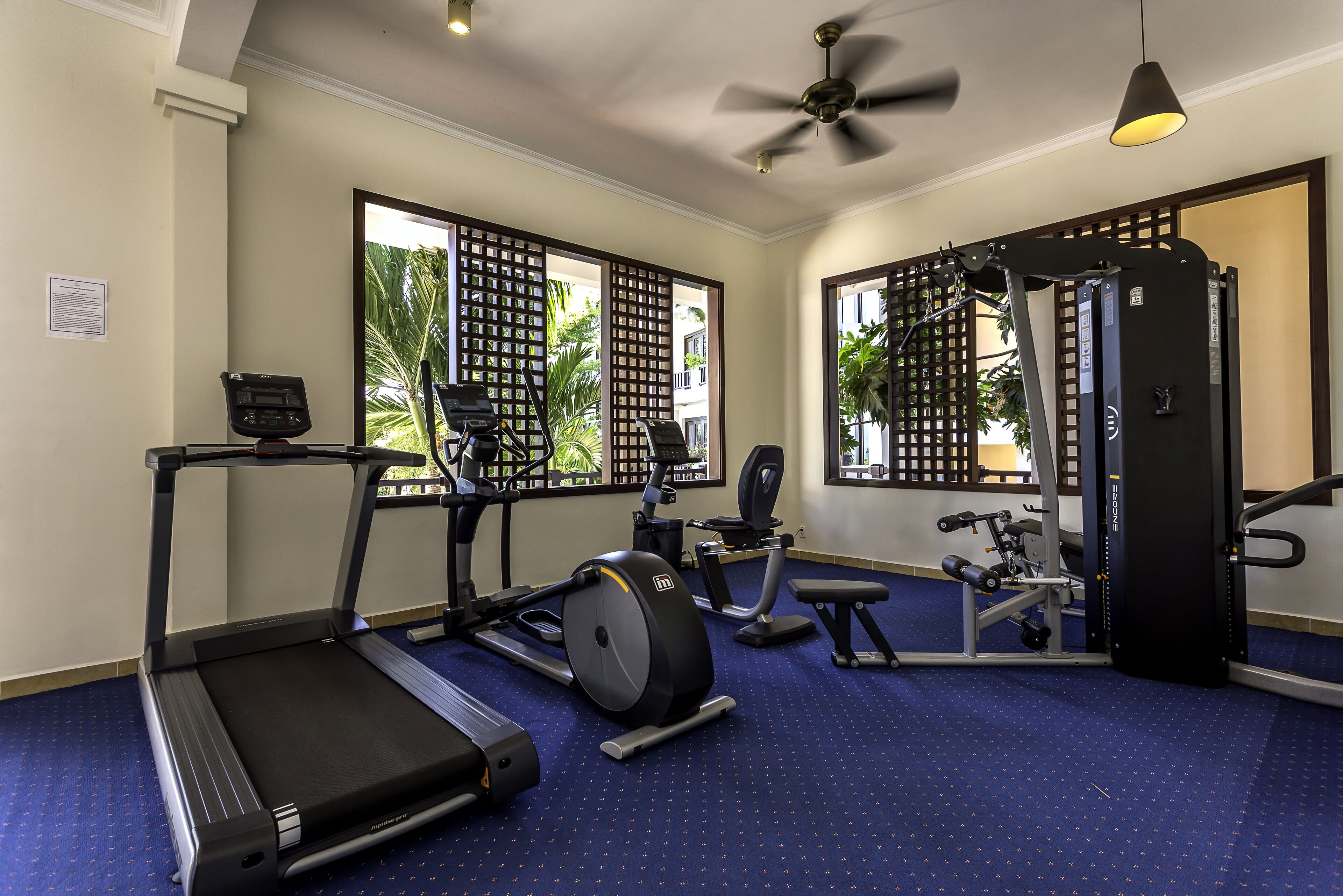 A gym with a treadmill, elliptical, and weight machines.