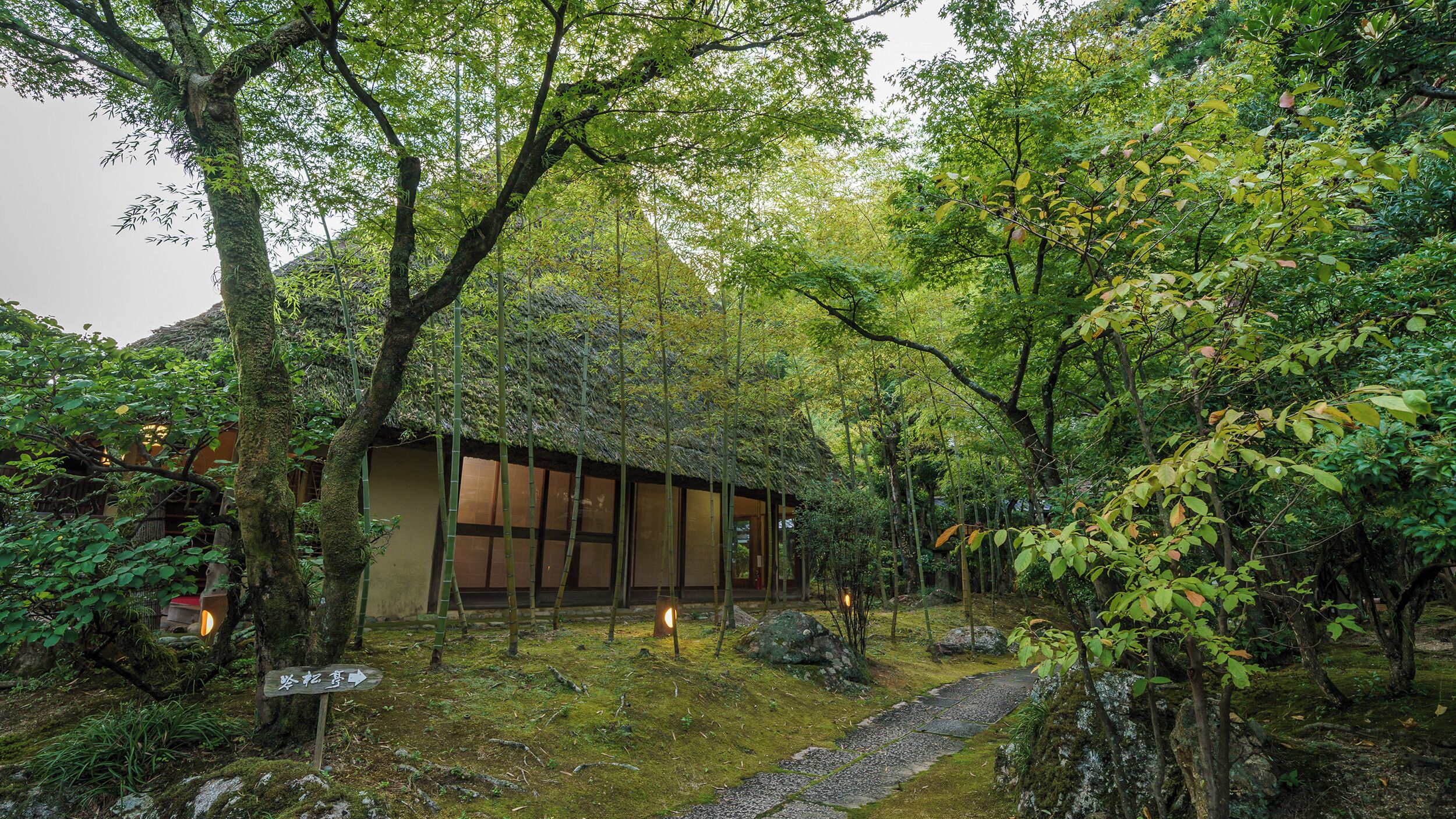 식사 및 음료