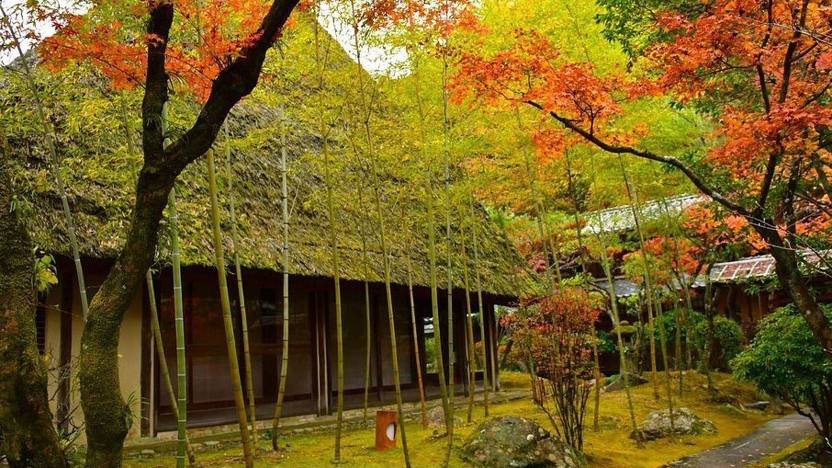 Japanse tuin