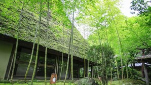 Un bâtiment traditionnel japonais doté d’une galerie couverte, entouré de bambous et de verdure.