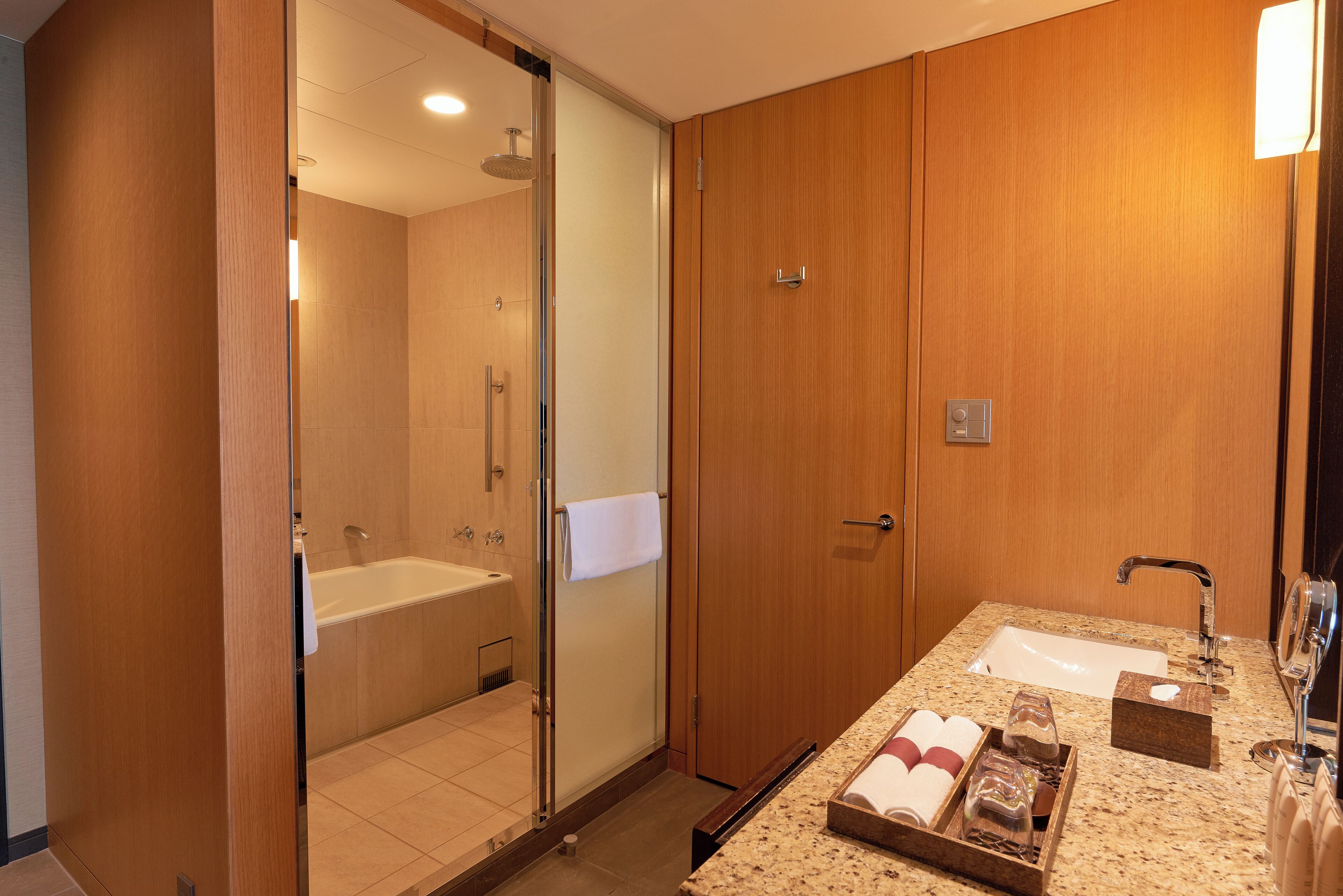 A modern bathroom with a glass shower enclosure, a bathtub, a sink with a vanity, and a wooden door.