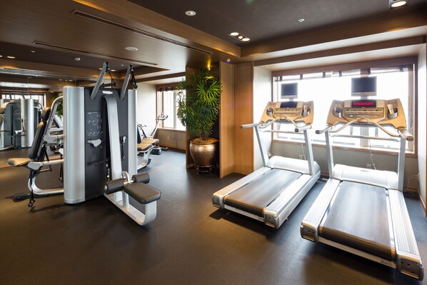 A gym with treadmills, weight machines, and a large potted plant.