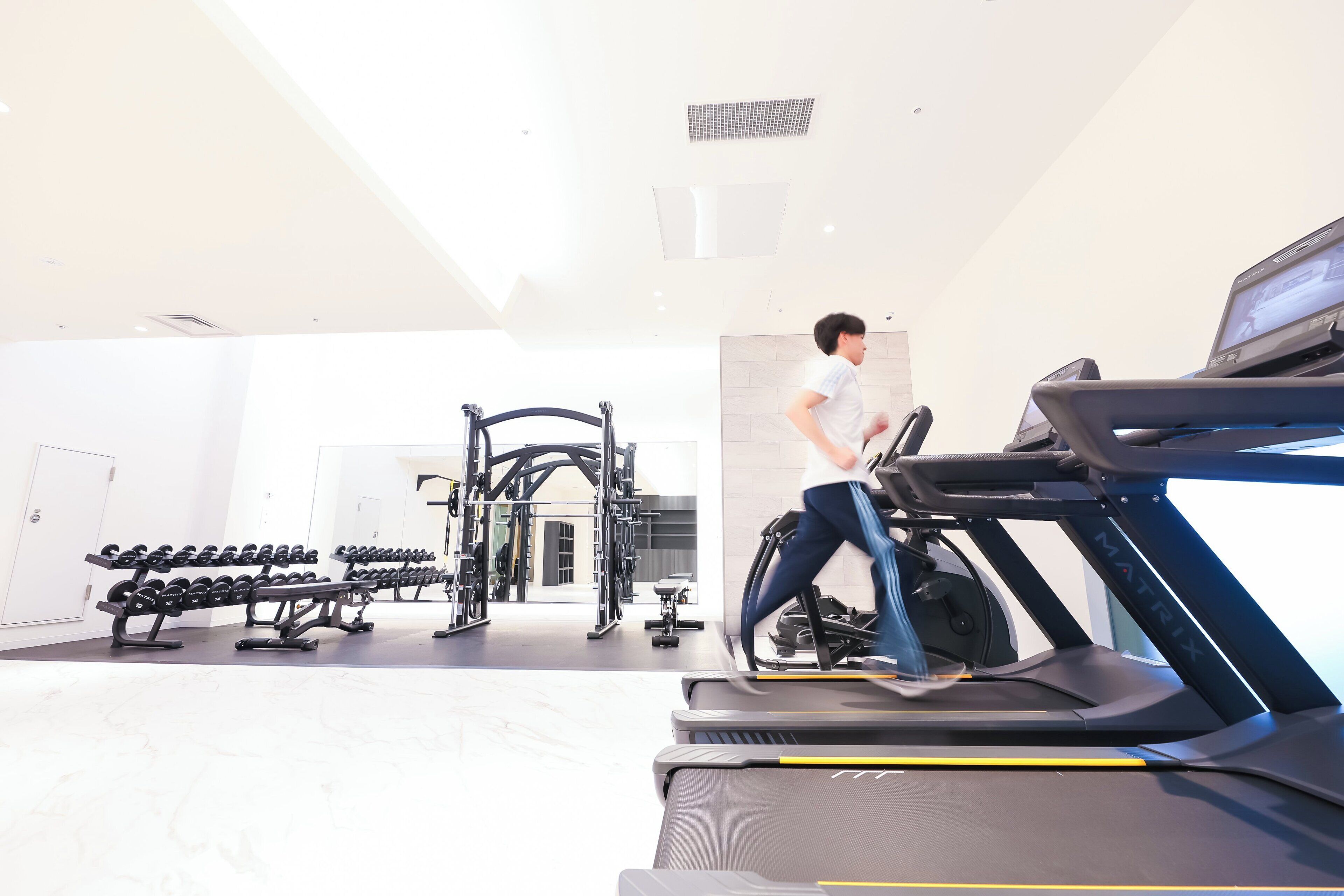 A gym with treadmills, dumbbells, and weight machines.