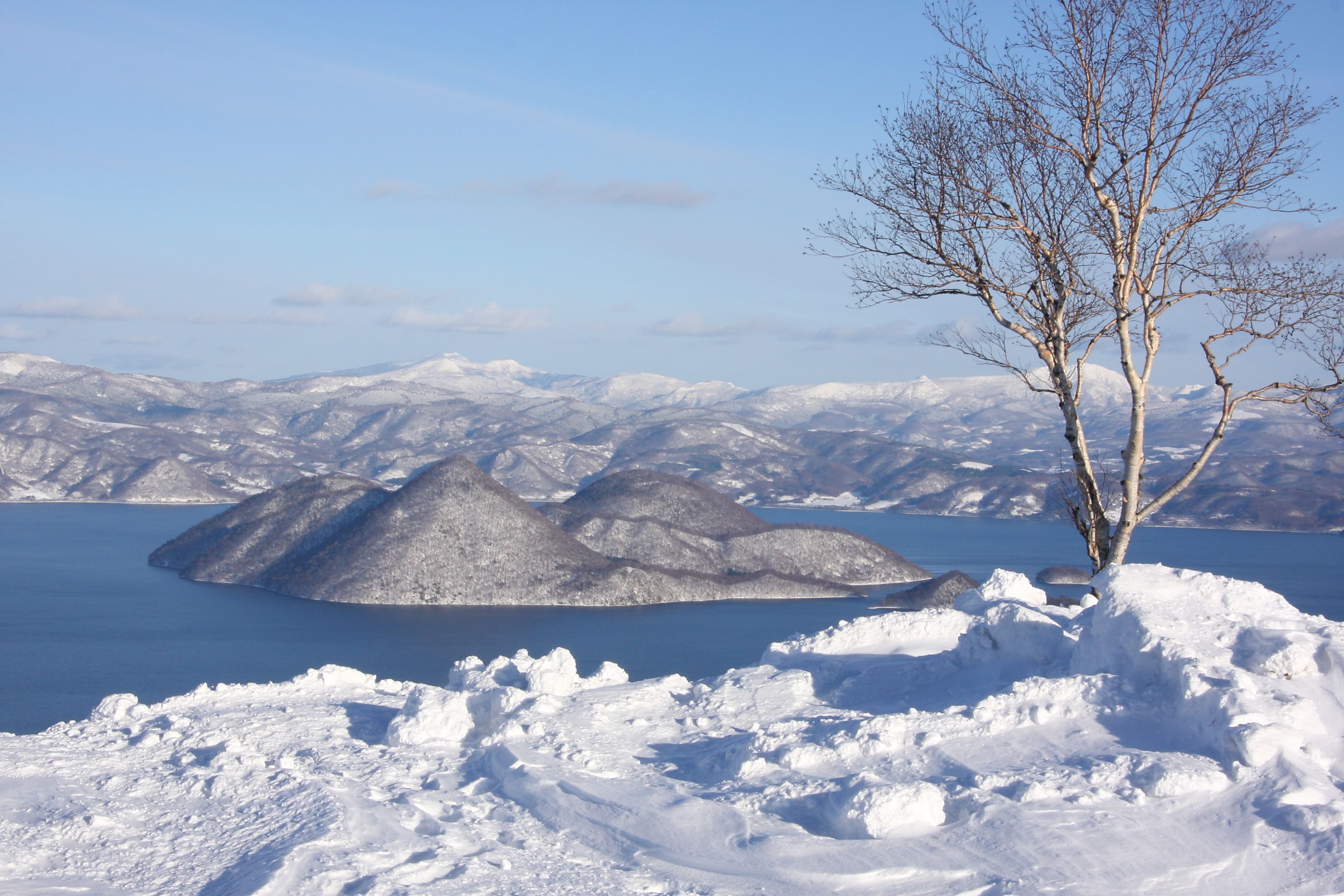 A snow-covered landscape with a clear sky, a body of water, and a solitary tree.