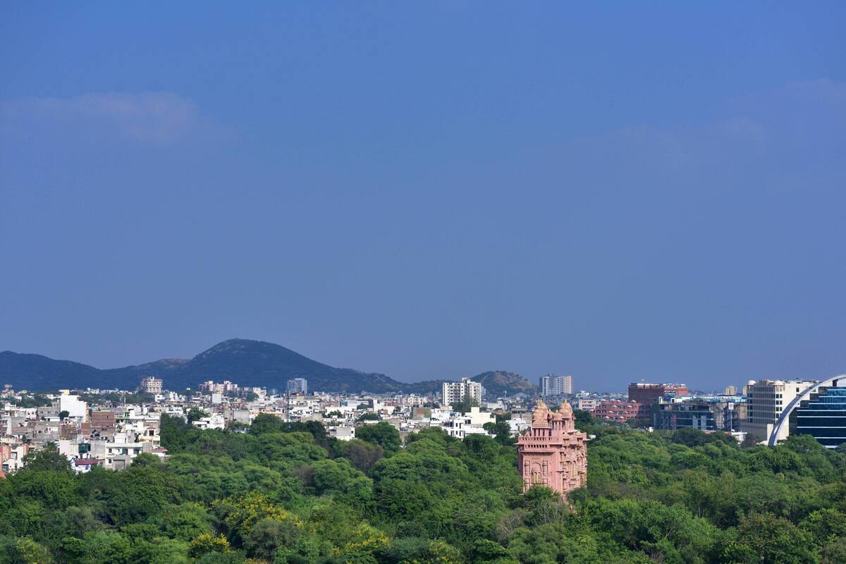 A cityscape with a prominent pink tower in the foreground, surrounded by dense green foliage.