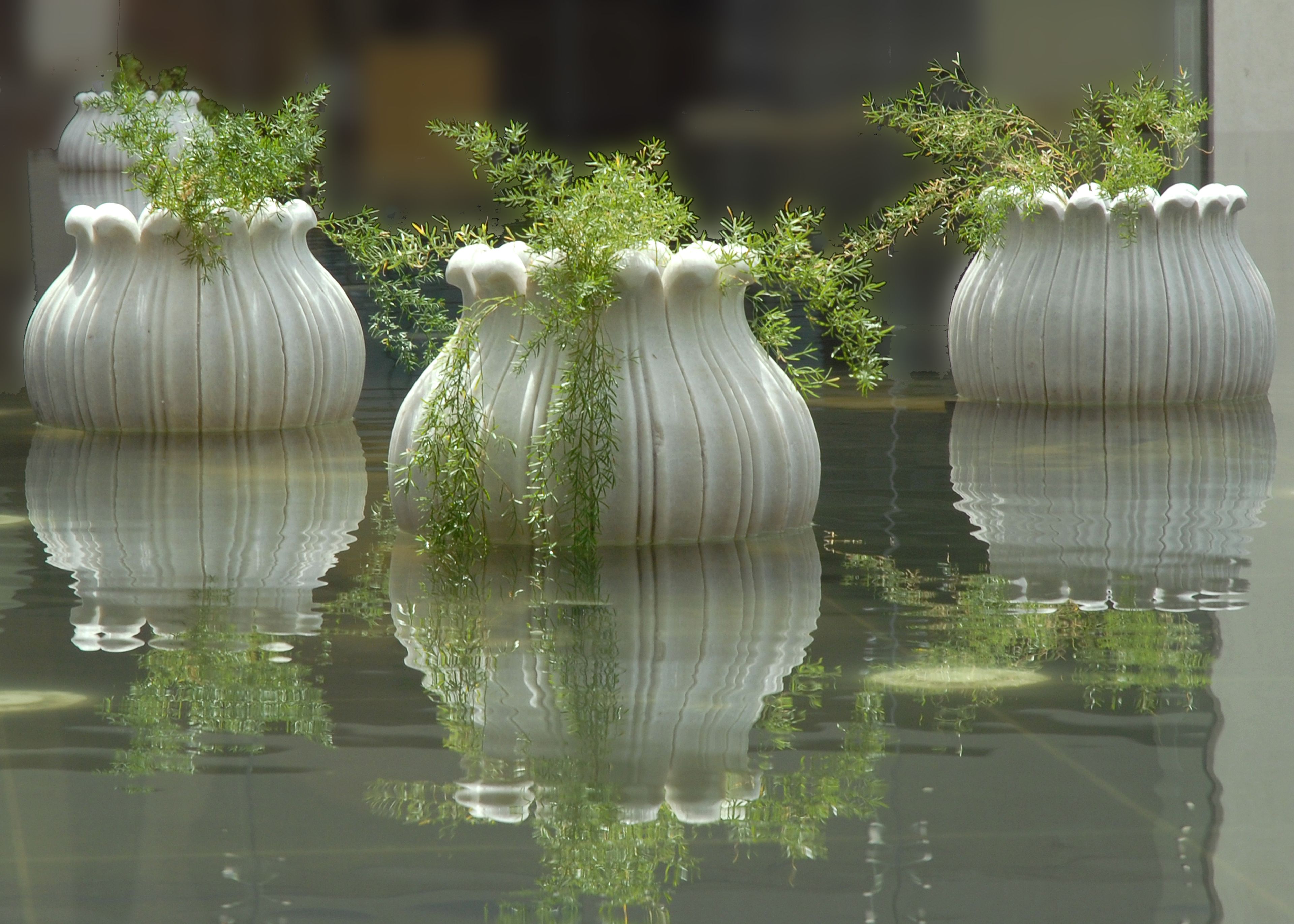Three white ceramic vases with plants on a reflective surface.