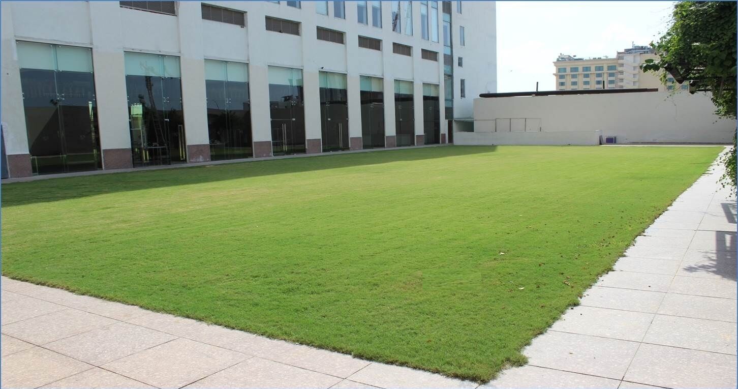 A courtyard with a well-maintained lawn, a building with large windows and doors, and a clear sky.