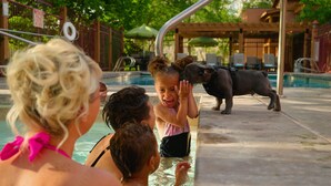 Zona junto a la piscina con un perro, un niño y adultos.