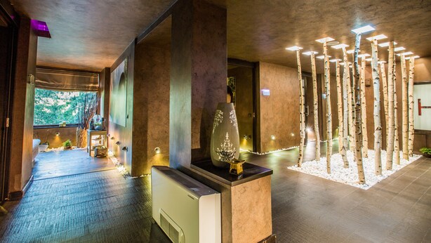 A modern hotel lobby with a reception desk, a decorative vase, and a row of birch trees under artificial lighting. - Alpin Resort Hotel (Brasov)