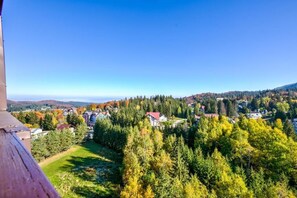 Une vue panoramique d’un quartier résidentiel, avec des maisons entourées de forêts denses et des collines en arrière-plan.