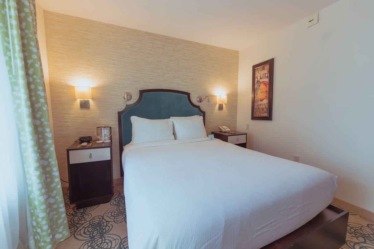 Room, 1 Queen Bed, Accessible, Non Smoking (Hearing & Rollin Shower) | Premium bedding, in-room safe, individually decorated