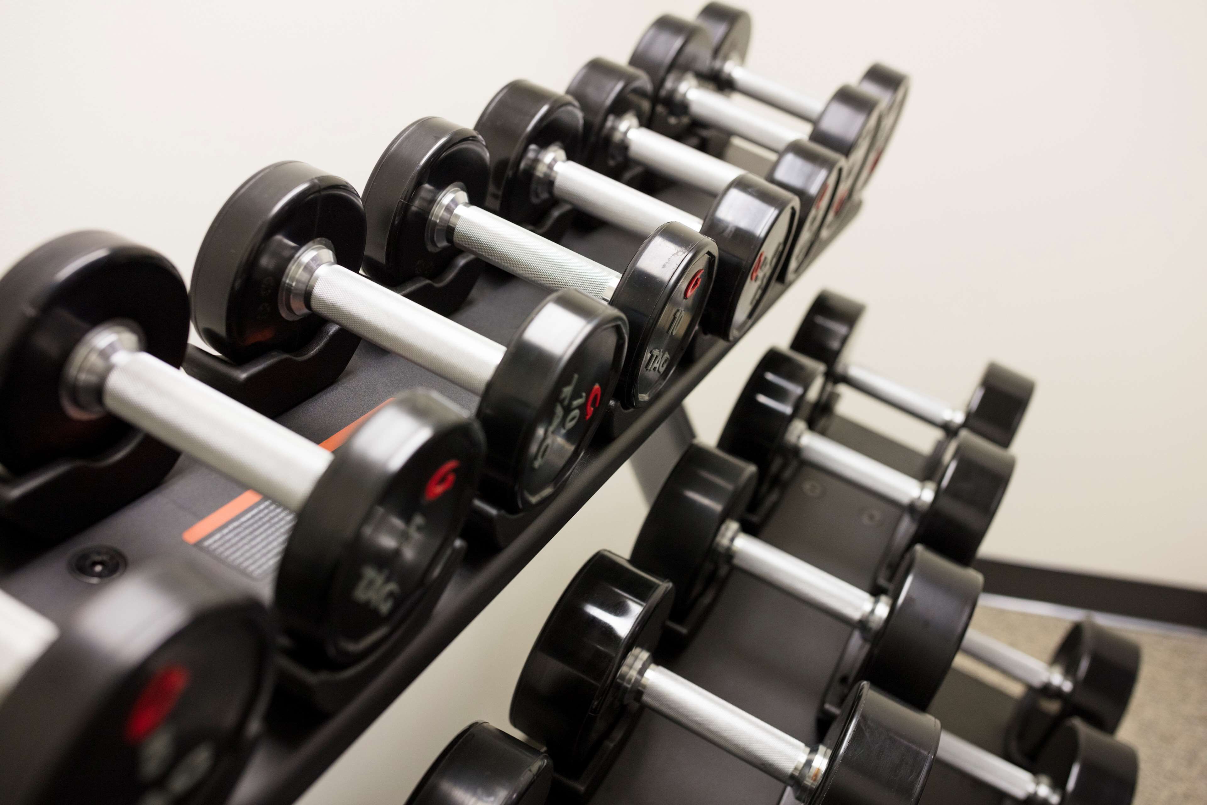 A set of black dumbbells with silver handles and red weight markings on a rack.