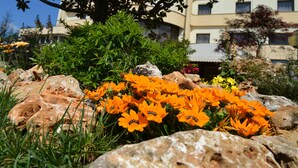 A garden with orange flowers and rocks in front of a building with multiple windows and balconies. - Forum Palace Hotel (Cassino)