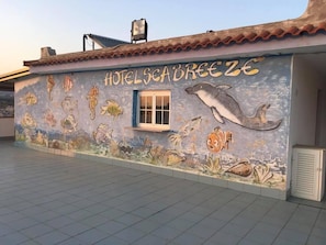 Terraza o patio