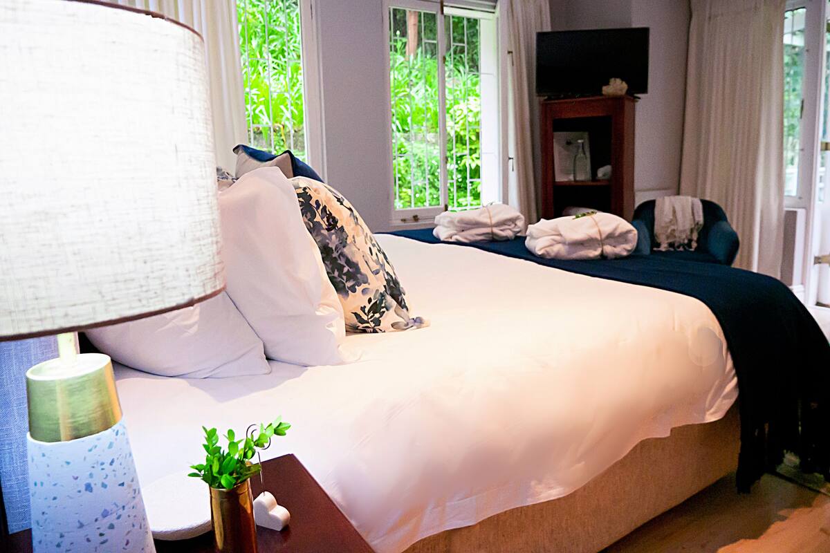 A hotel room with a large bed, a bedside table with a lamp, a TV on a stand, and windows with curtains.