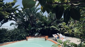 A swimming pool surrounded by lush greenery, with a view of the sea in the background. - Roseroc Boutique Guest House (Knysna)