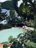 Outdoor pool, pool umbrellas, pool loungers